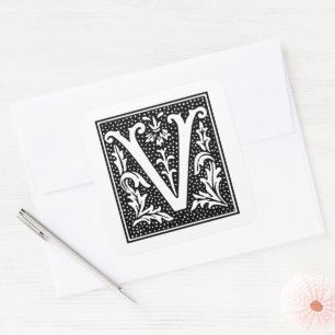 Euclid Capital Letter V on White Square Sticker