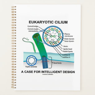 Eukaryotic Cilium A Case For Intelligent Design Planner
