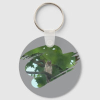 Eule im Baum