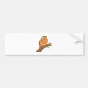 Eule Kauz Sägekauz Saw-whet owl Bumper Sticker