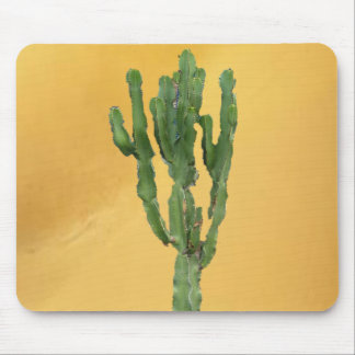 Euphorbia 'Cactus' Mouse Pad
