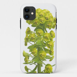 Euphorbia iPhone 11 Case