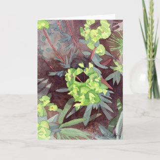 Euphorbia, greeting card