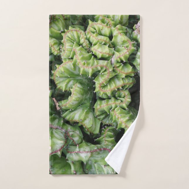 Euphorbia Hand Towel (Hand Towel)
