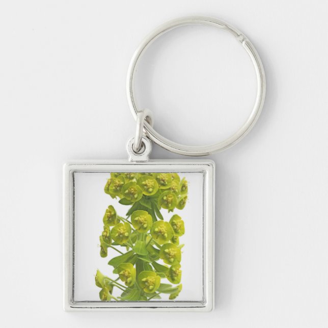 Euphorbia Key Ring (Front)