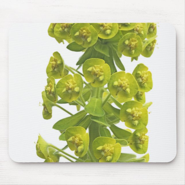 Euphorbia Mouse Pad (Front)