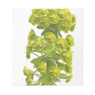 Euphorbia Notepad