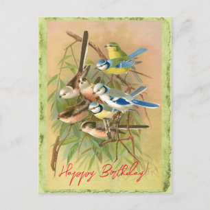 Eurasian blue tit and long-tailed tit  postcard