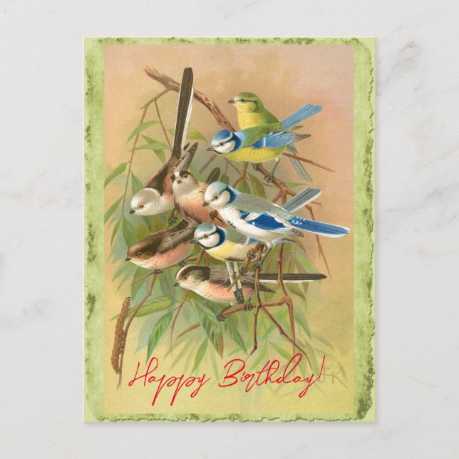 Eurasian blue tit and long-tailed tit  postcard (Front)