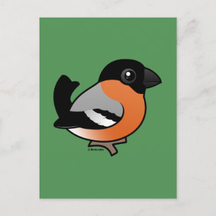 Eurasian Bullfinch Postcard