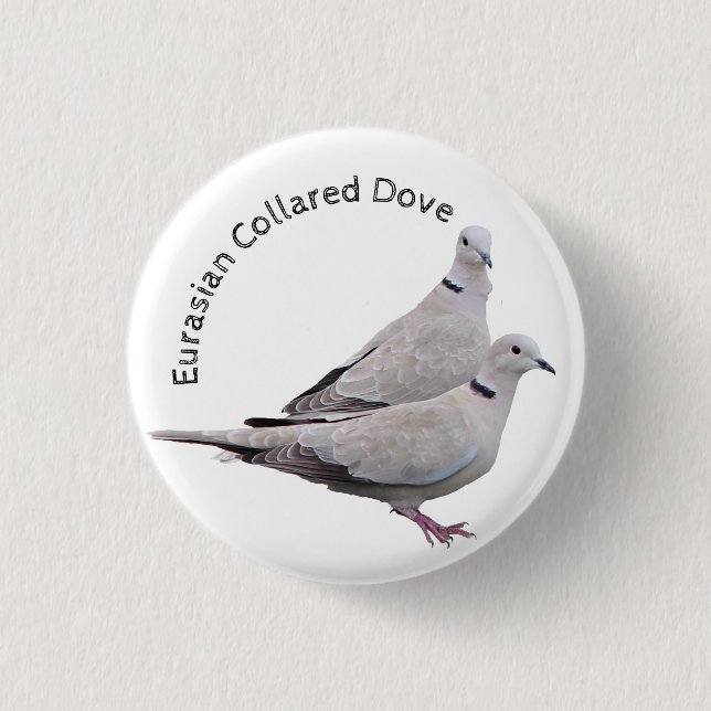 Eurasian Collared Dove 3 Cm Round Badge (Front)