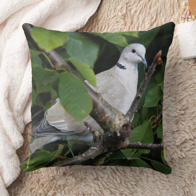 Eurasian Collared Dove Songbird on Cherry Tree Cushion (Blanket)