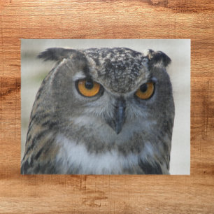 Eurasian Eagle Owl Animal Jigsaw Puzzle