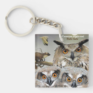 "Eurasian eagle-owl (Bubo bubo)" Key Ring