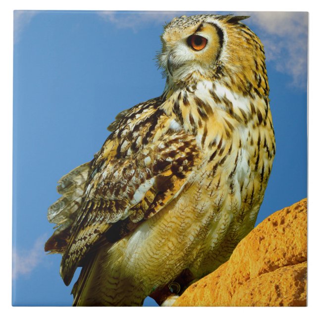 Eurasian eagle owl ceramic tile (Front)