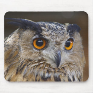 Eurasian Eagle Owl Mouse Pad