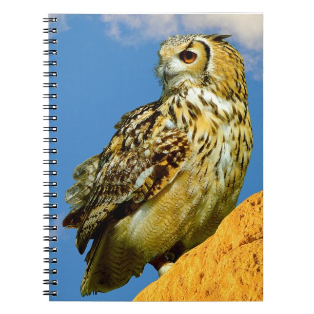 Eurasian eagle owl notebook (Front)