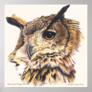 Eurasian Eagle Owl Ornithological fine art poster
