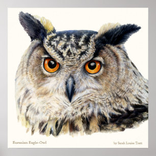 Eurasian Eagle Owl Ornithological fine art poster