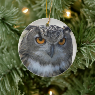 Eurasian Eagle Owl Photo Ceramic Tree Decoration