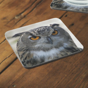 Eurasian Eagle Owl Photo Coaster