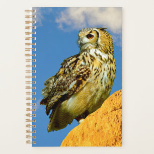 Eurasian eagle owl planner