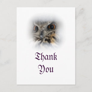 Eurasian Eagle-owl Thank You Postcard