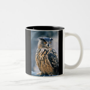 Eurasian Eagle Owl Two-Tone Coffee Mug