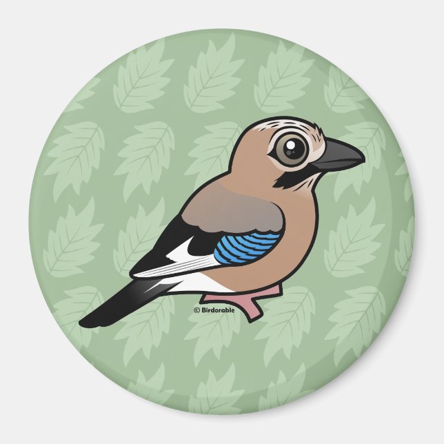 Eurasian Jay Magnet (Front)