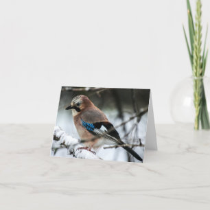 Eurasian Jay on a Snowy Branch Note Card