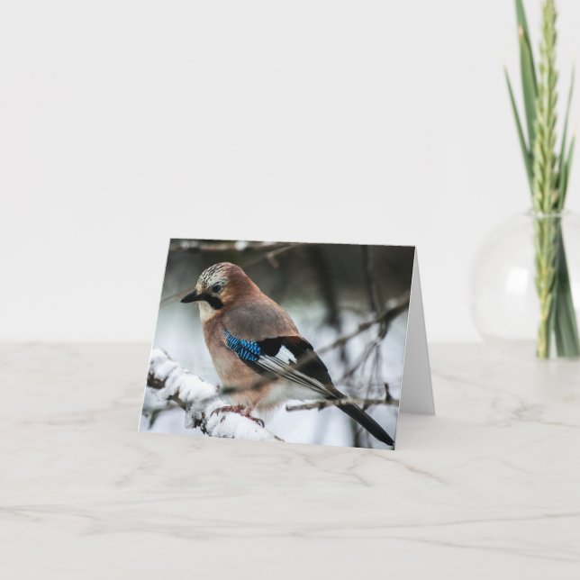 Eurasian Jay on a Snowy Branch Note Card (Front)