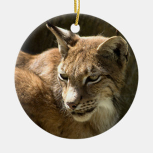 Eurasian Lynx Ceramic Ornament
