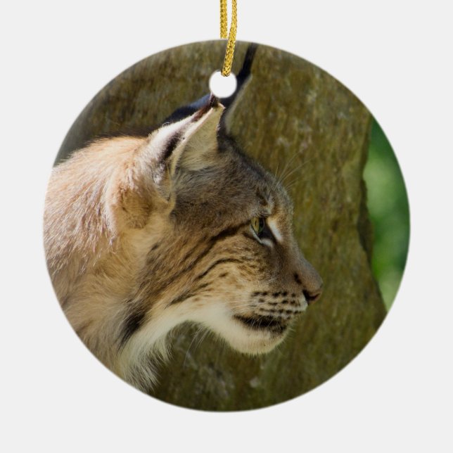 Eurasian Lynx Ceramic Tree Decoration (Front)