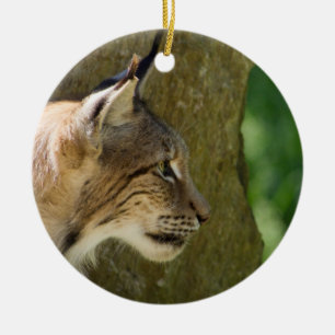 Eurasian Lynx Ceramic Tree Decoration
