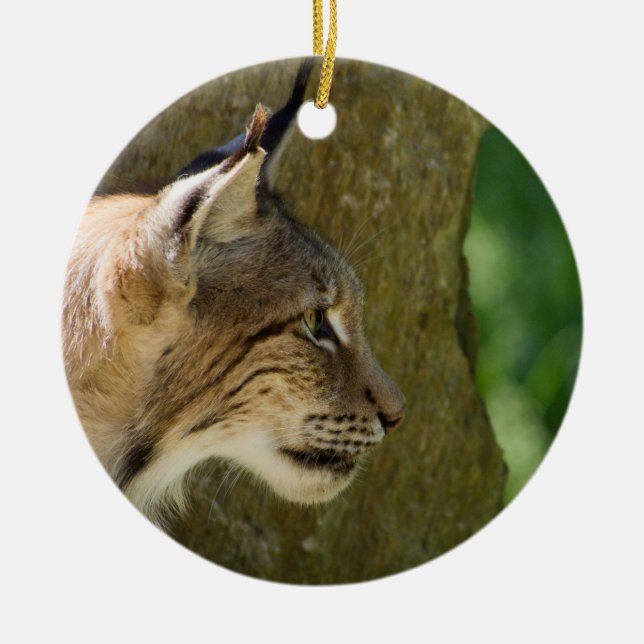 Eurasian Lynx Ceramic Tree Decoration (Front)