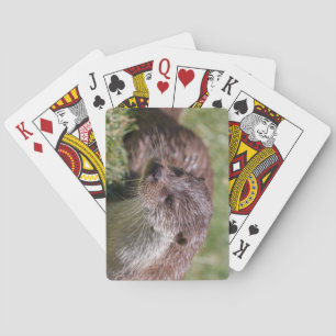 Eurasian Otter Resting in the Sunshine Playing Cards