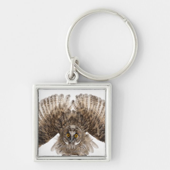 Eurasian Scops-owl - Otus scops (2 months old) Key Ring (Front)