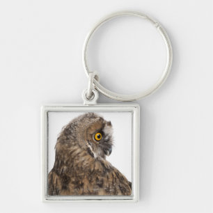Eurasian Scops-owl - Otus scops (2 months old) Key Ring