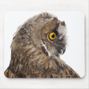 Eurasian Scops-owl - Otus scops (2 months old) Mouse Pad