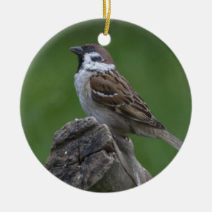 Eurasian Tree Sparrow Ceramic Ornament
