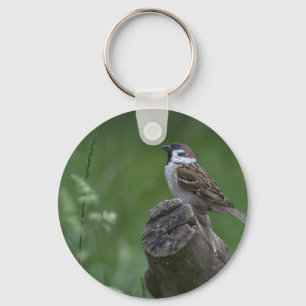 Eurasian Tree Sparrow Key Ring