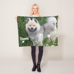 Eurasier Adorable Pet Dog Photo Stallion Sherpa Fleece Blanket
