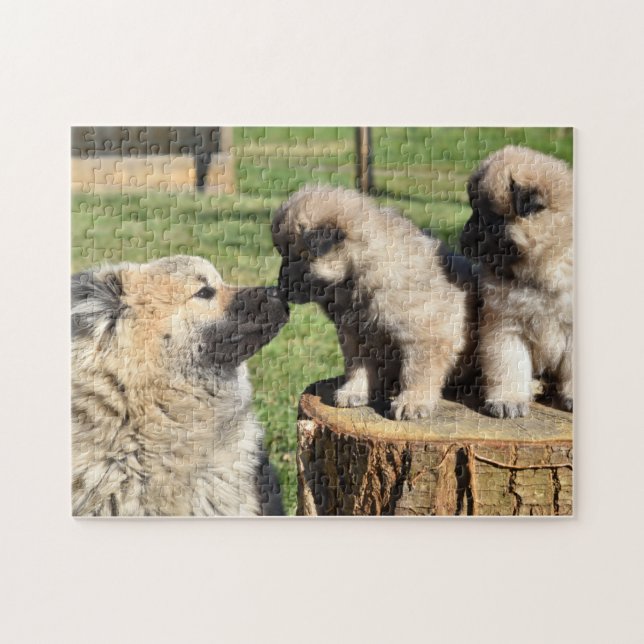 Eurasier Dog and puppies Jigsaw Puzzle (Horizontal)