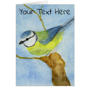 Eurasion Blue Tit