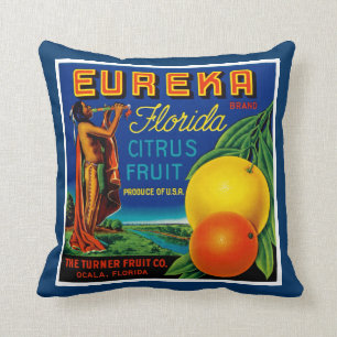 Eureka Florida Citrus Cushion