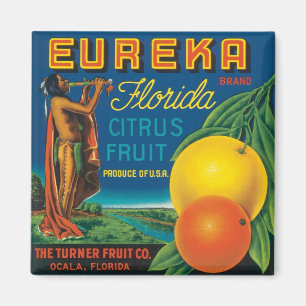 Eureka Florida Citrus Fruit Magnet