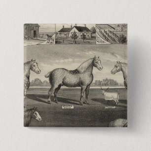 Eureka Stock Farm, Scottsville, Kansas 15 Cm Square Badge