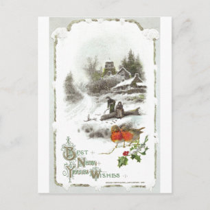 Euro Robins and Snowy Hamlet Vintage New Year Holiday Postcard