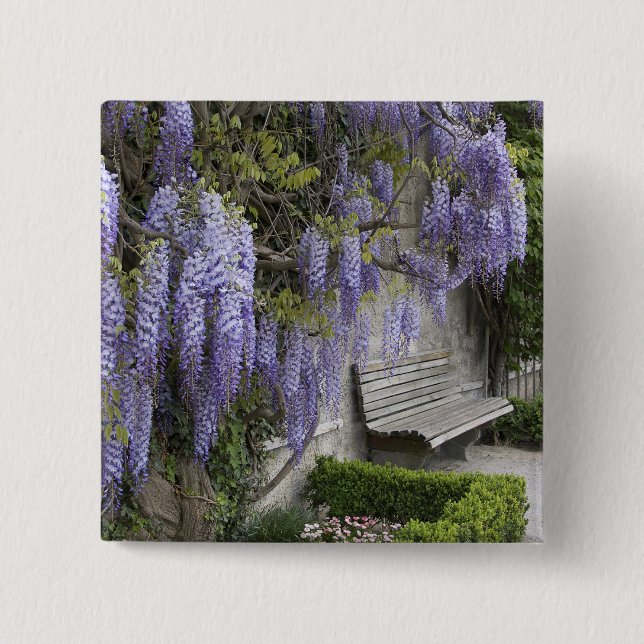 Europe, Austria, Salzburg Stadt, Salzburg, 15 Cm Square Badge (Front)