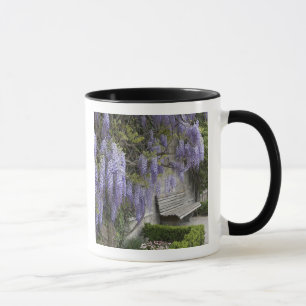 Europe, Austria, Salzburg Stadt, Salzburg, Mug